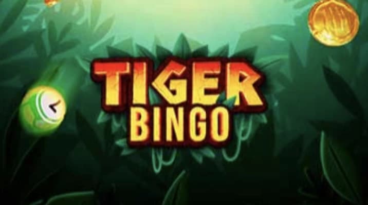 Tiger Bingo Betano - Aposta 20 centavos