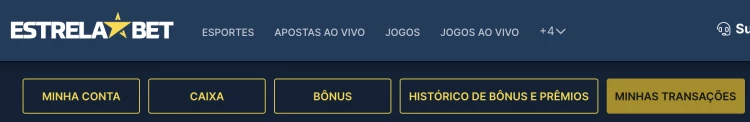 Captura de tela Opção 